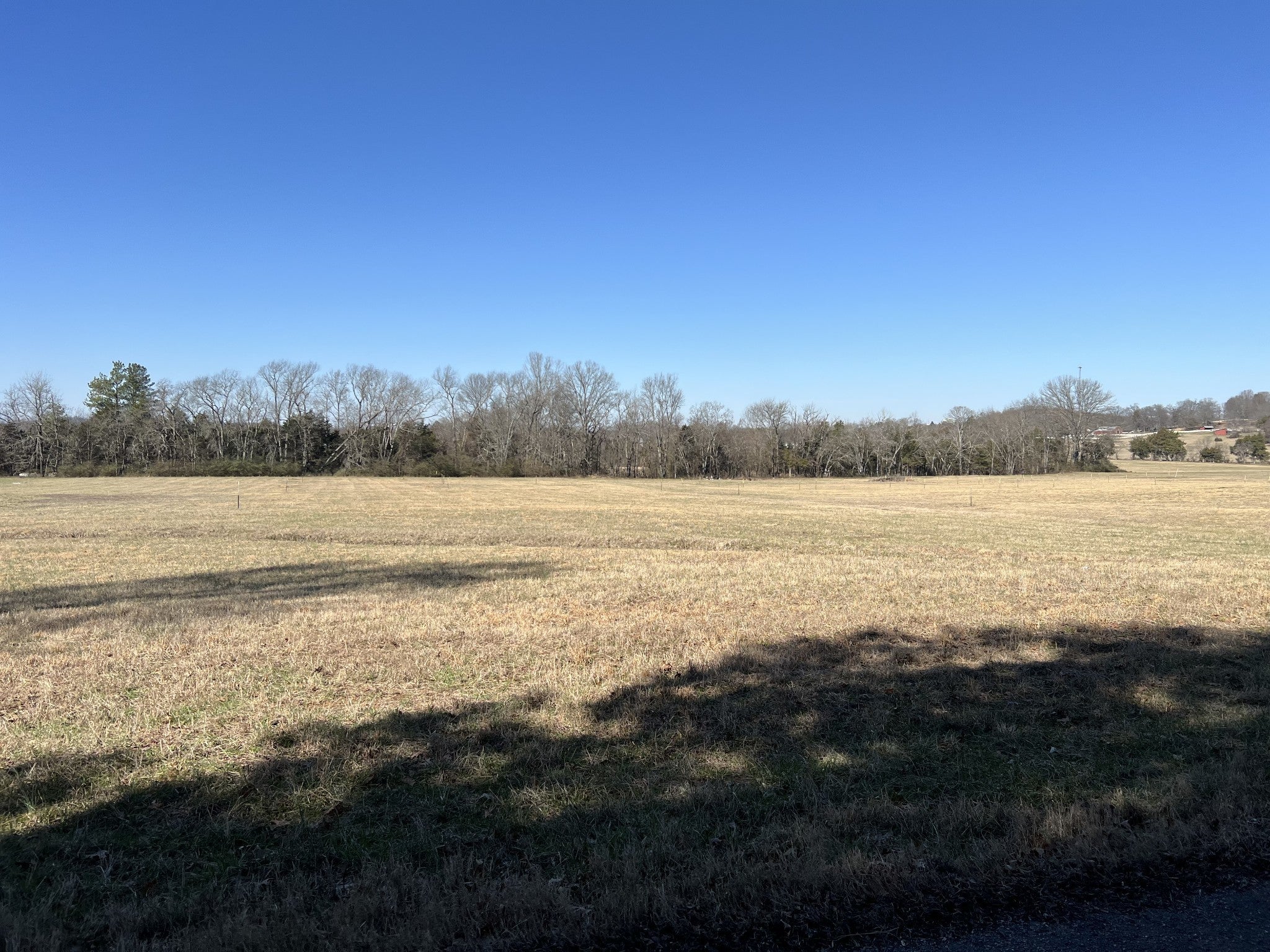 Photo of Listing #2795307