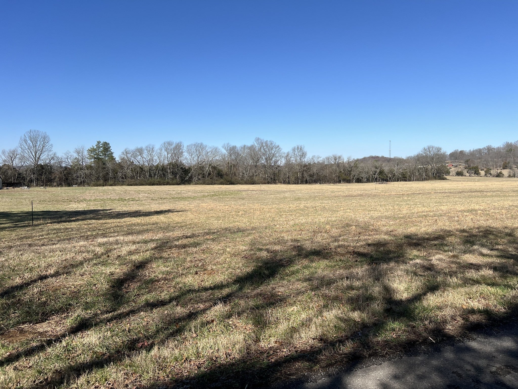 Photo of Listing #2795308