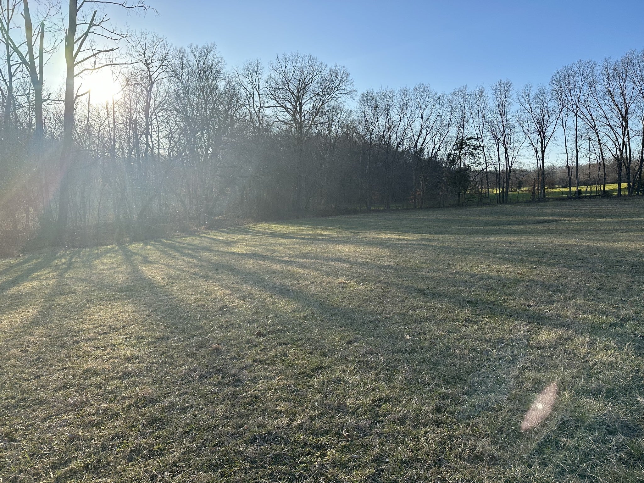 Photo of Listing #2795719