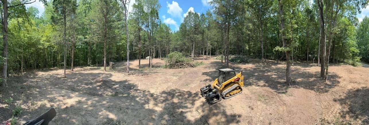 Photo of Listing #2795934