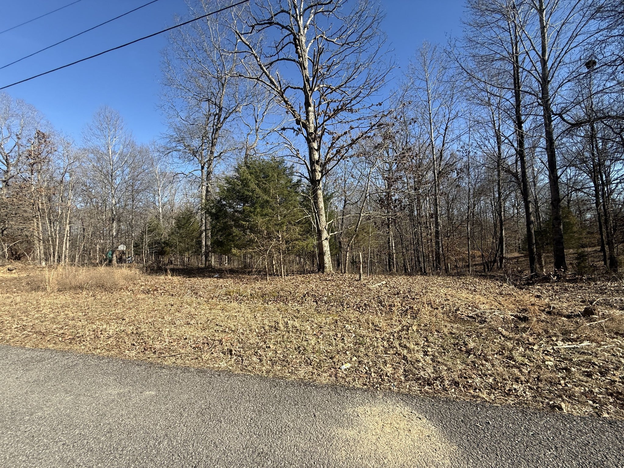 Photo of Listing #2796722