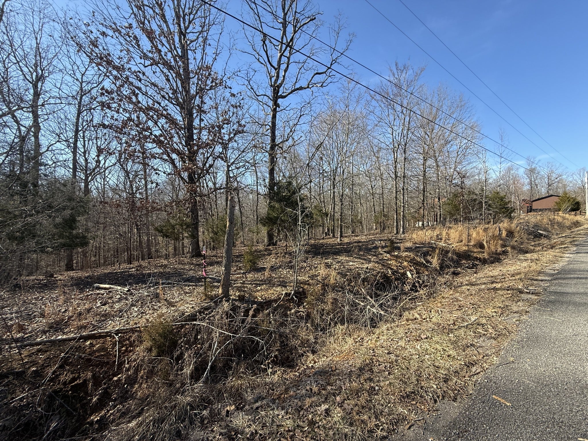 Photo of Listing #2796725
