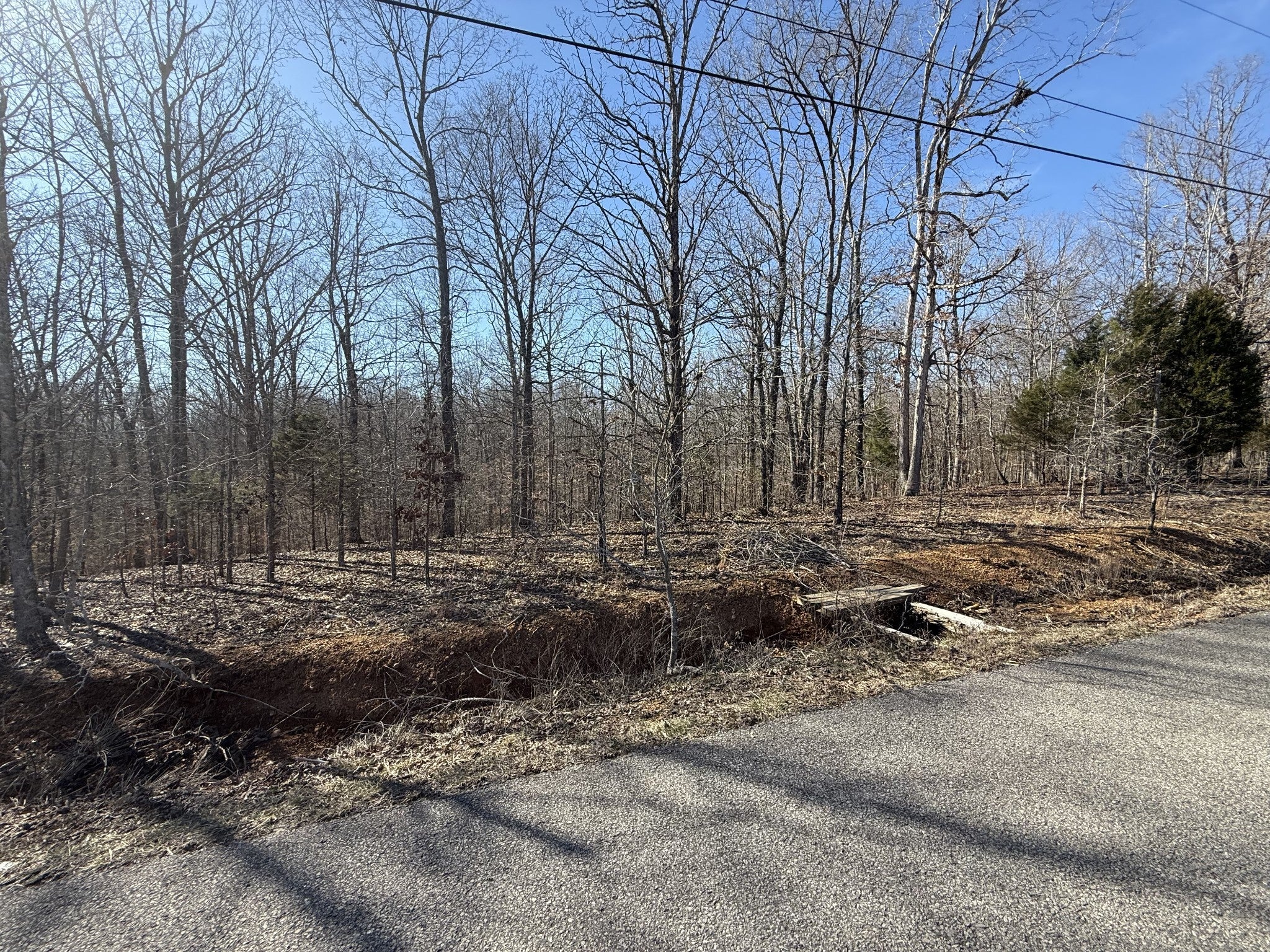 Photo of Listing #2796726