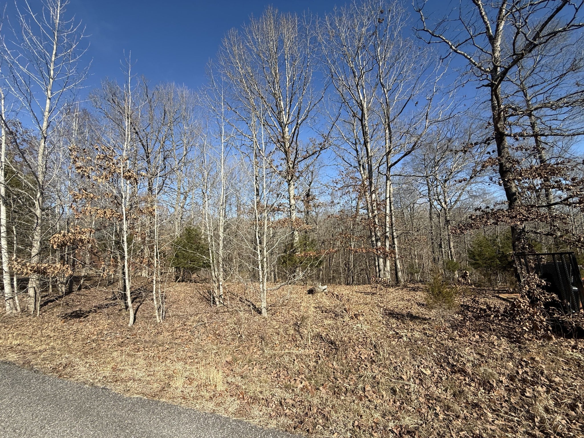 Photo of Listing #2796727