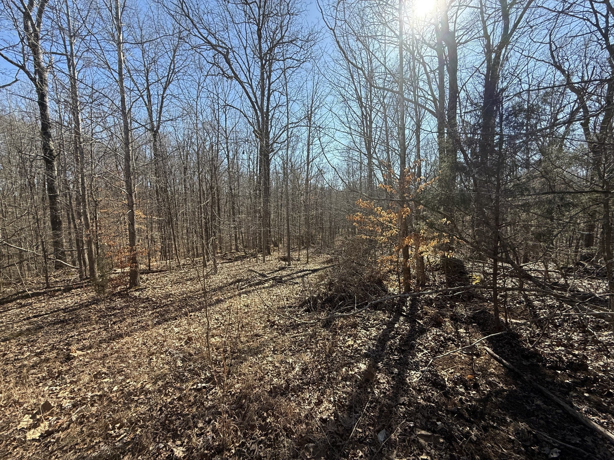 Photo of Listing #2796729