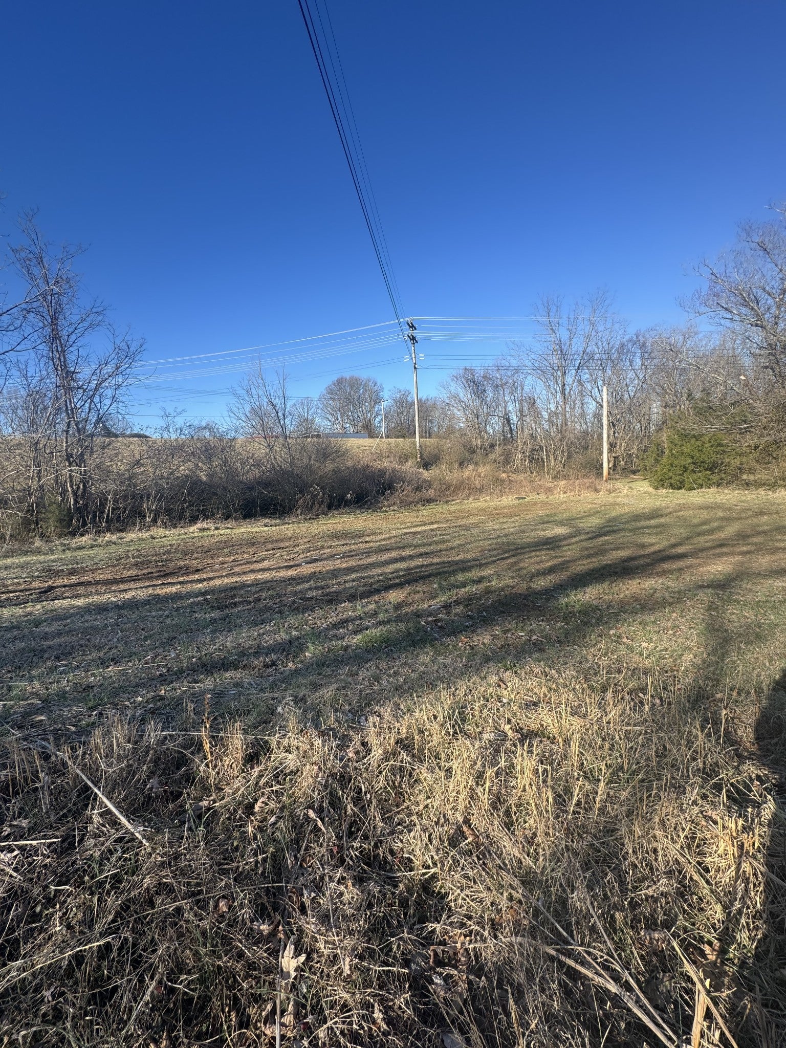 Photo of Listing #2796970