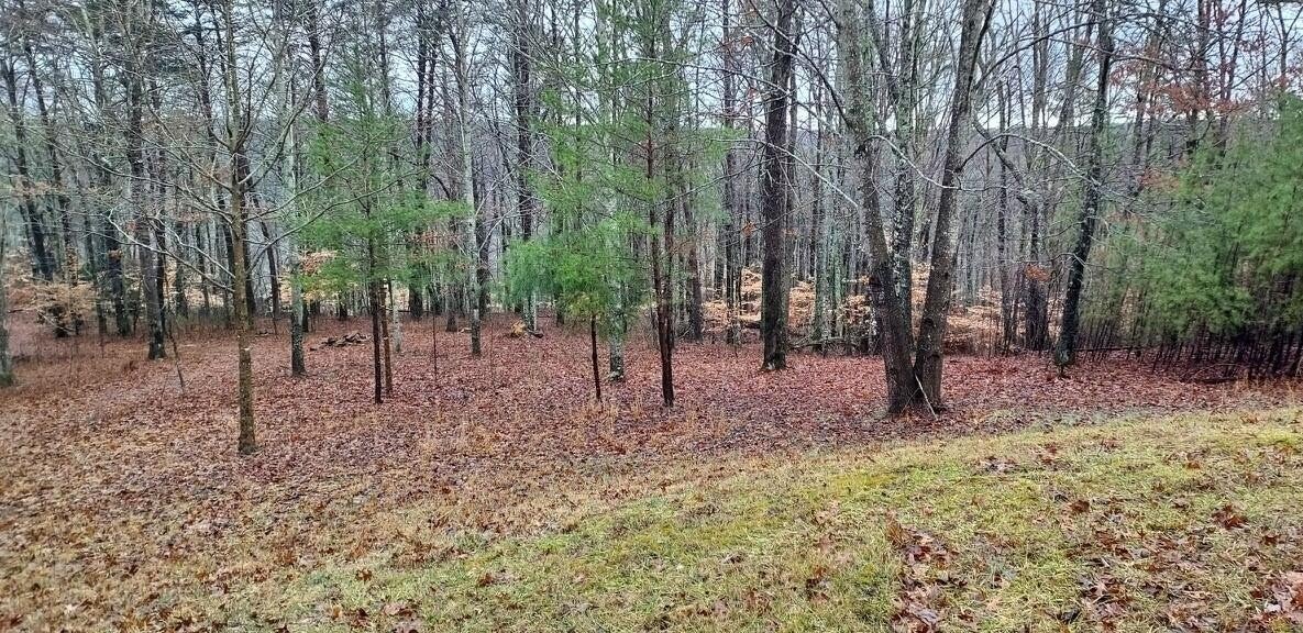 Photo of Listing #2797178