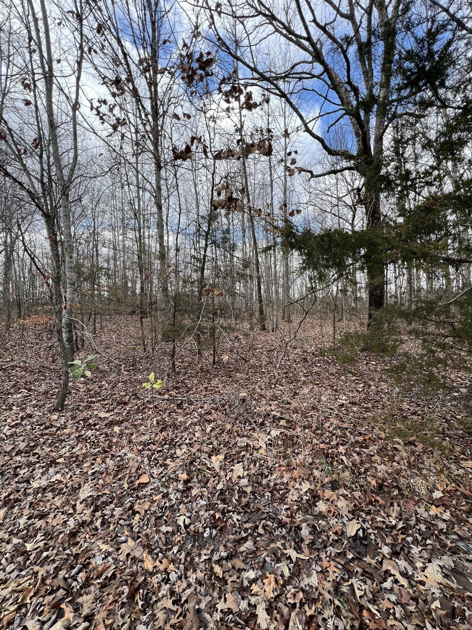 Photo of Listing #2797656
