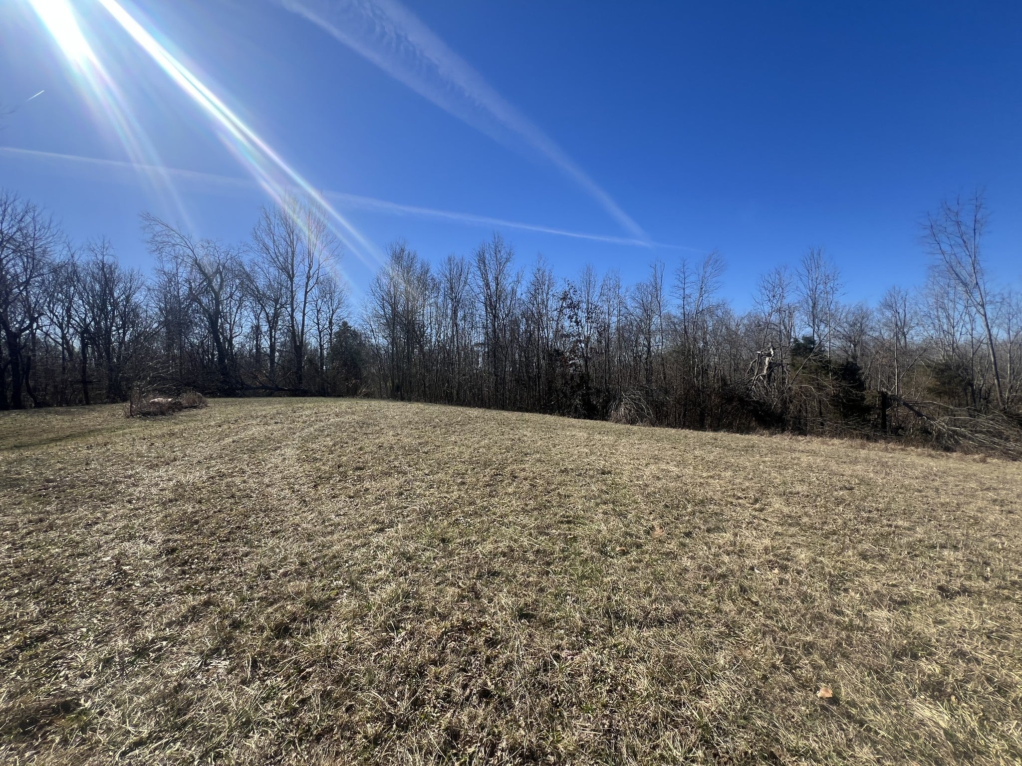 Photo of Listing #2797846