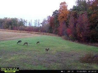 Photo of Listing #2798273
