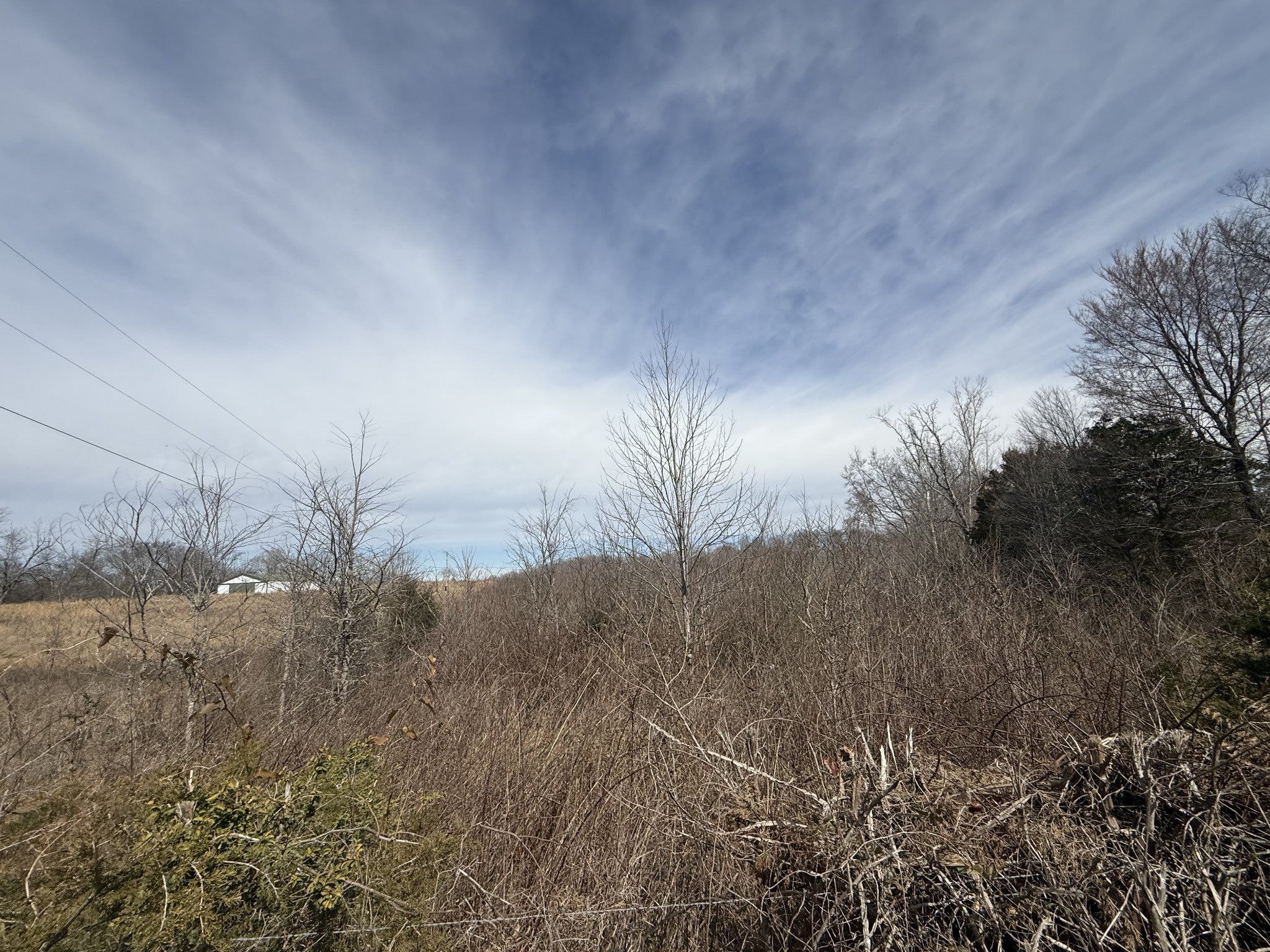Photo of Listing #2798397