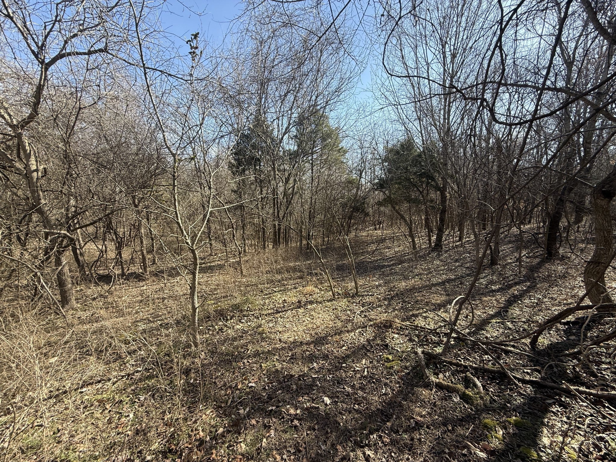 Photo of Listing #2798399