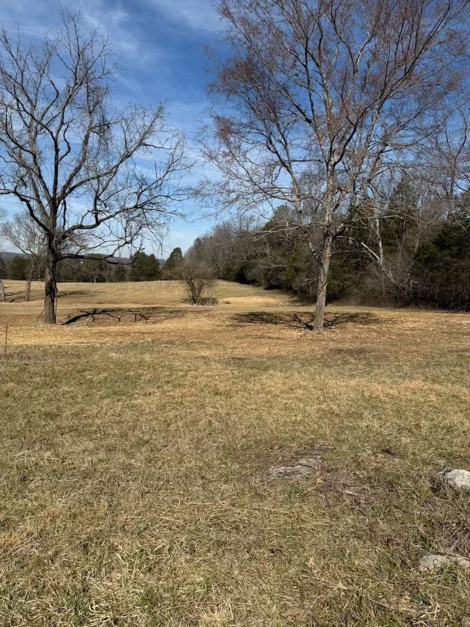 Photo of Listing #2798420