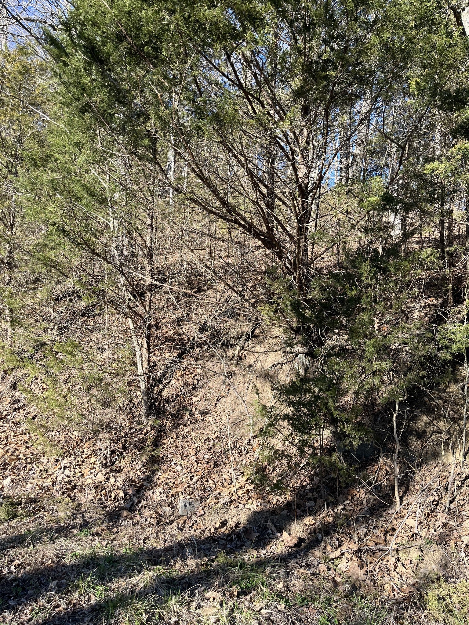 Photo of Listing #2798427