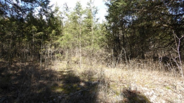 Photo of Listing #2798474