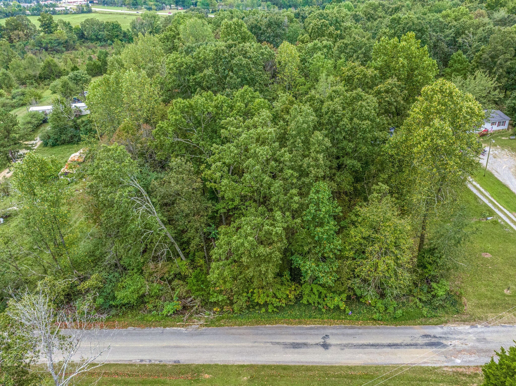 Photo of Listing #2799236