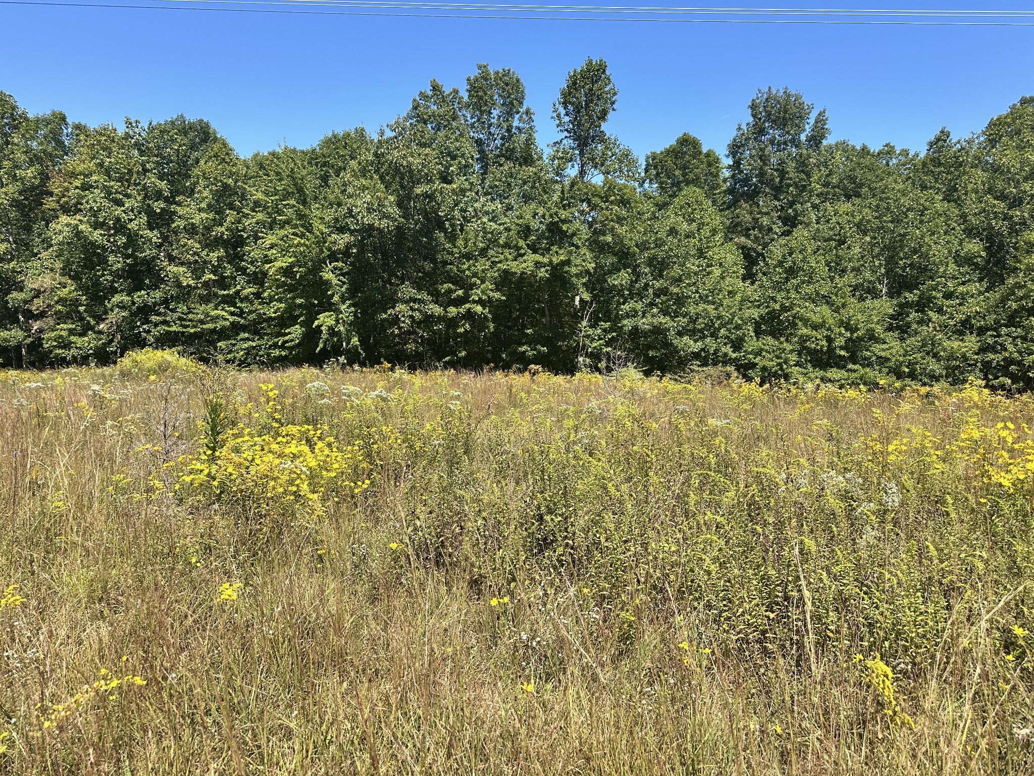 Photo of Listing #2799425