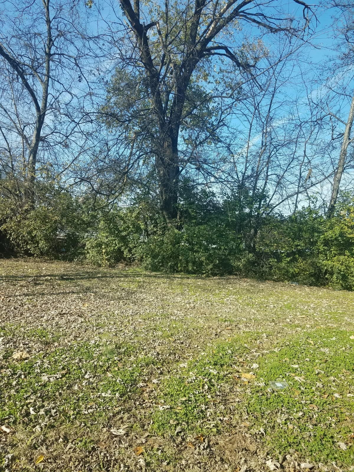 Photo of Listing #2799857