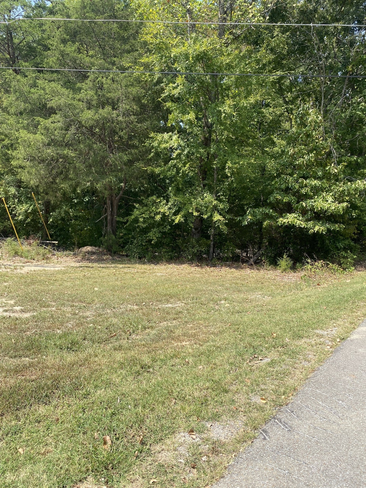 Photo of Listing #2800139