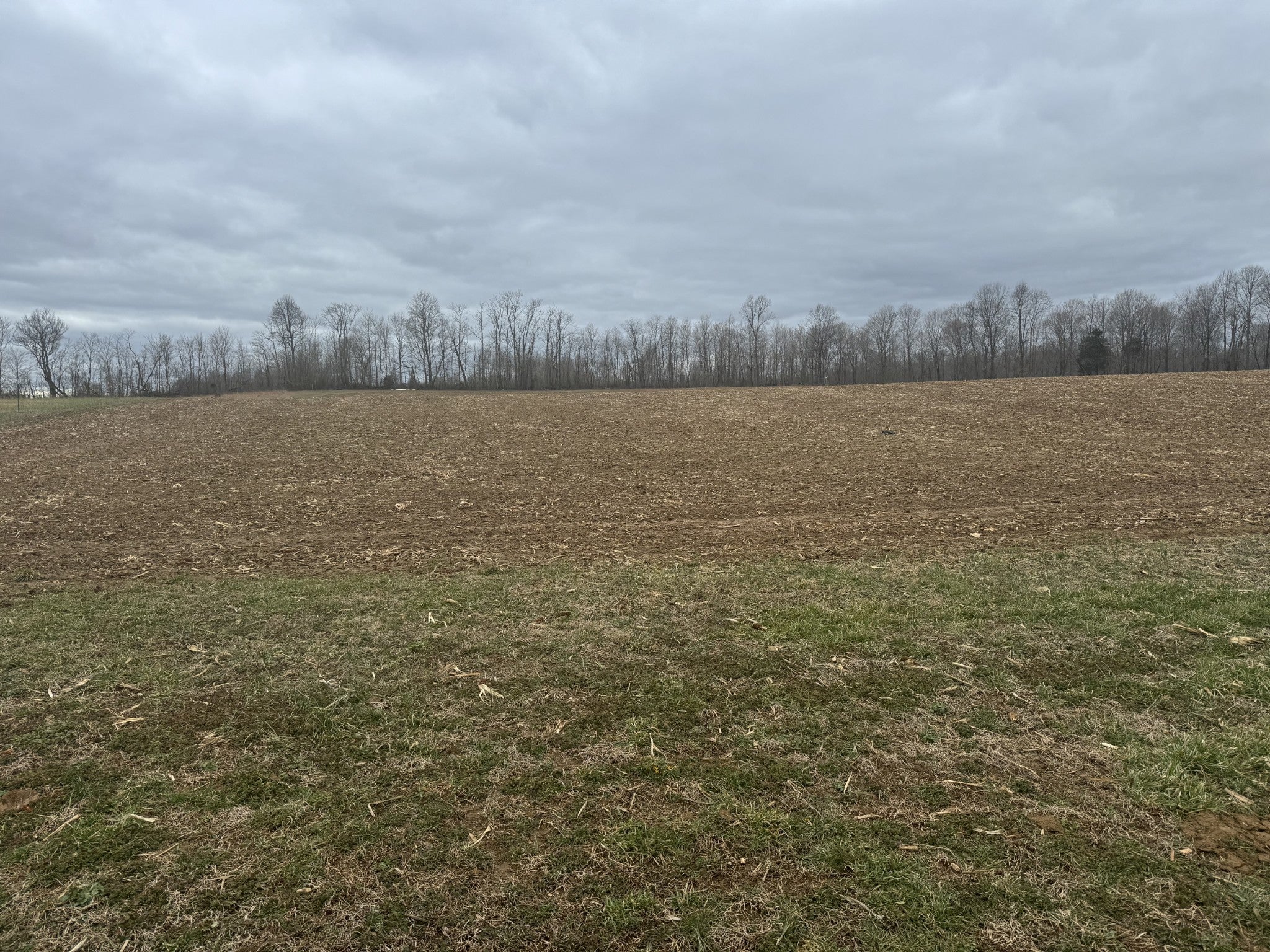 Photo of Listing #2800146