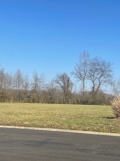 Photo of Listing #2800253