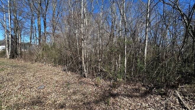 Photo of Listing #2800335