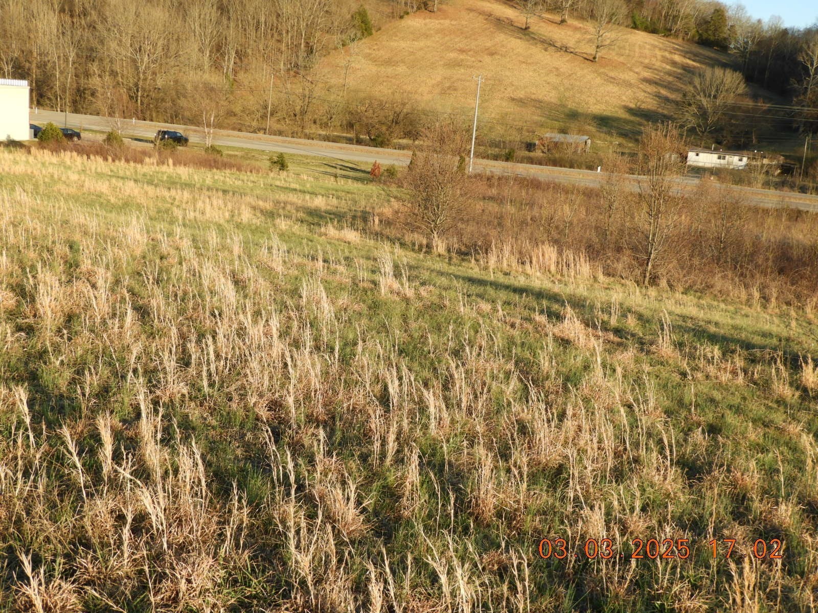 Photo of Listing #2800425