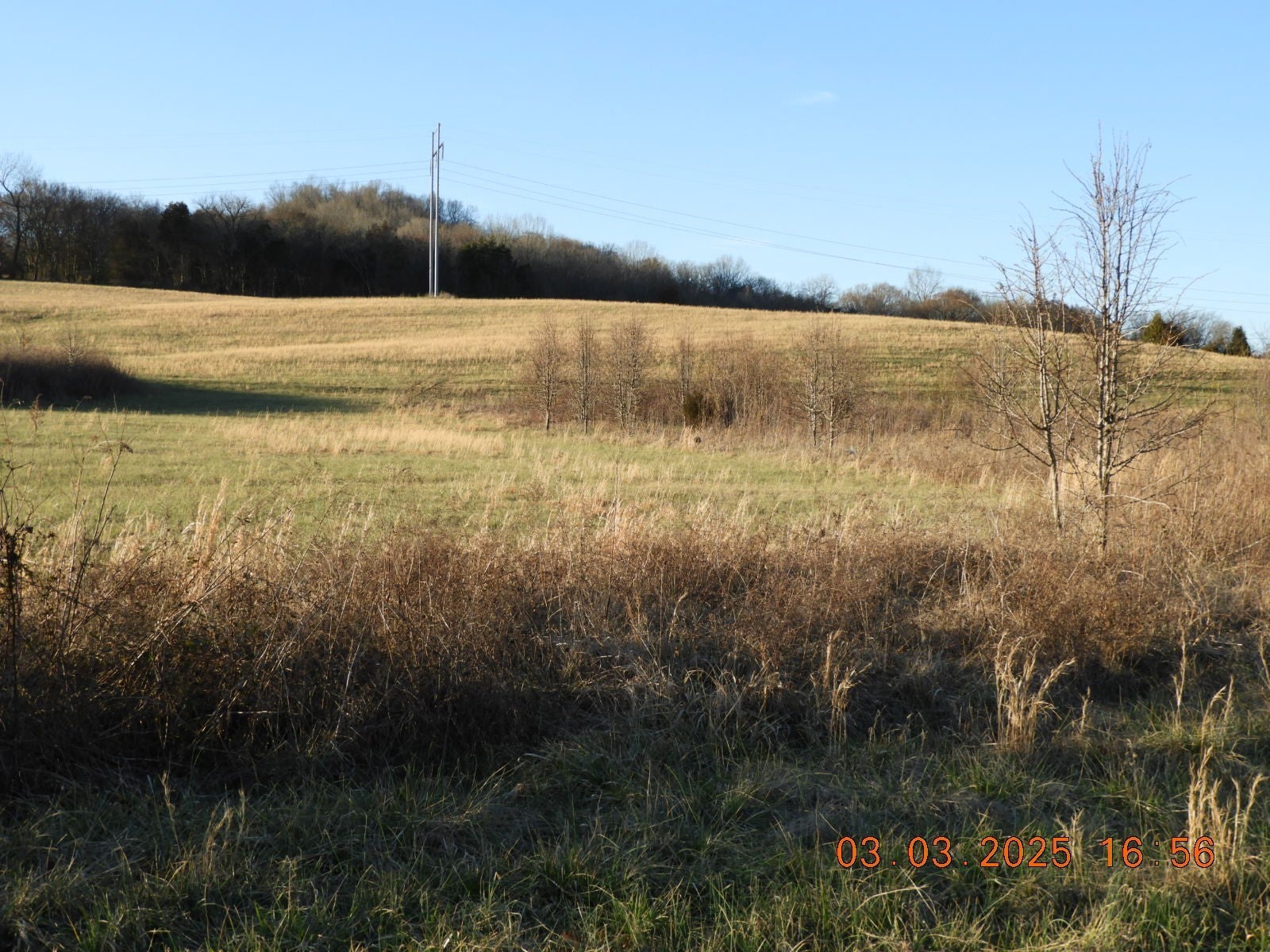 Photo of Listing #2800435