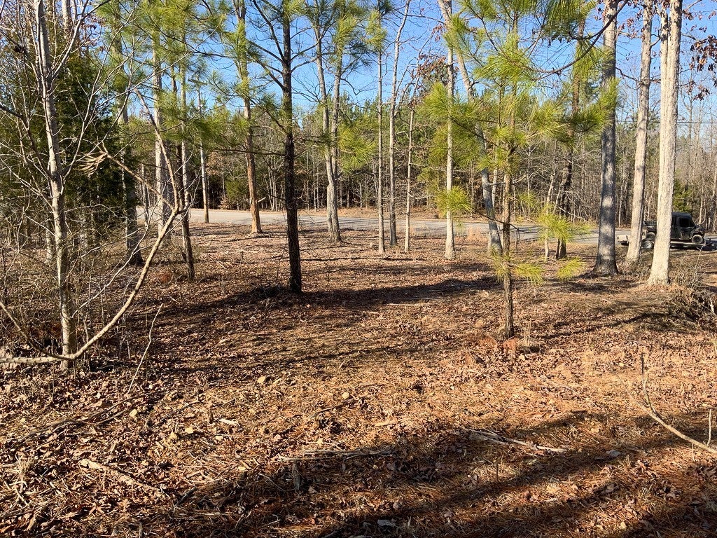 Photo of Listing #2800505