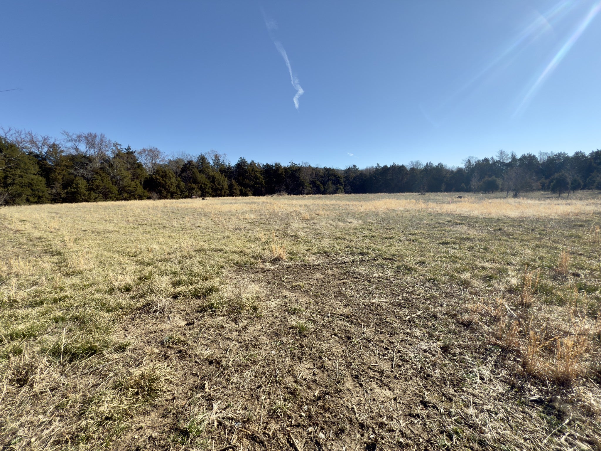 Photo of Listing #2800558