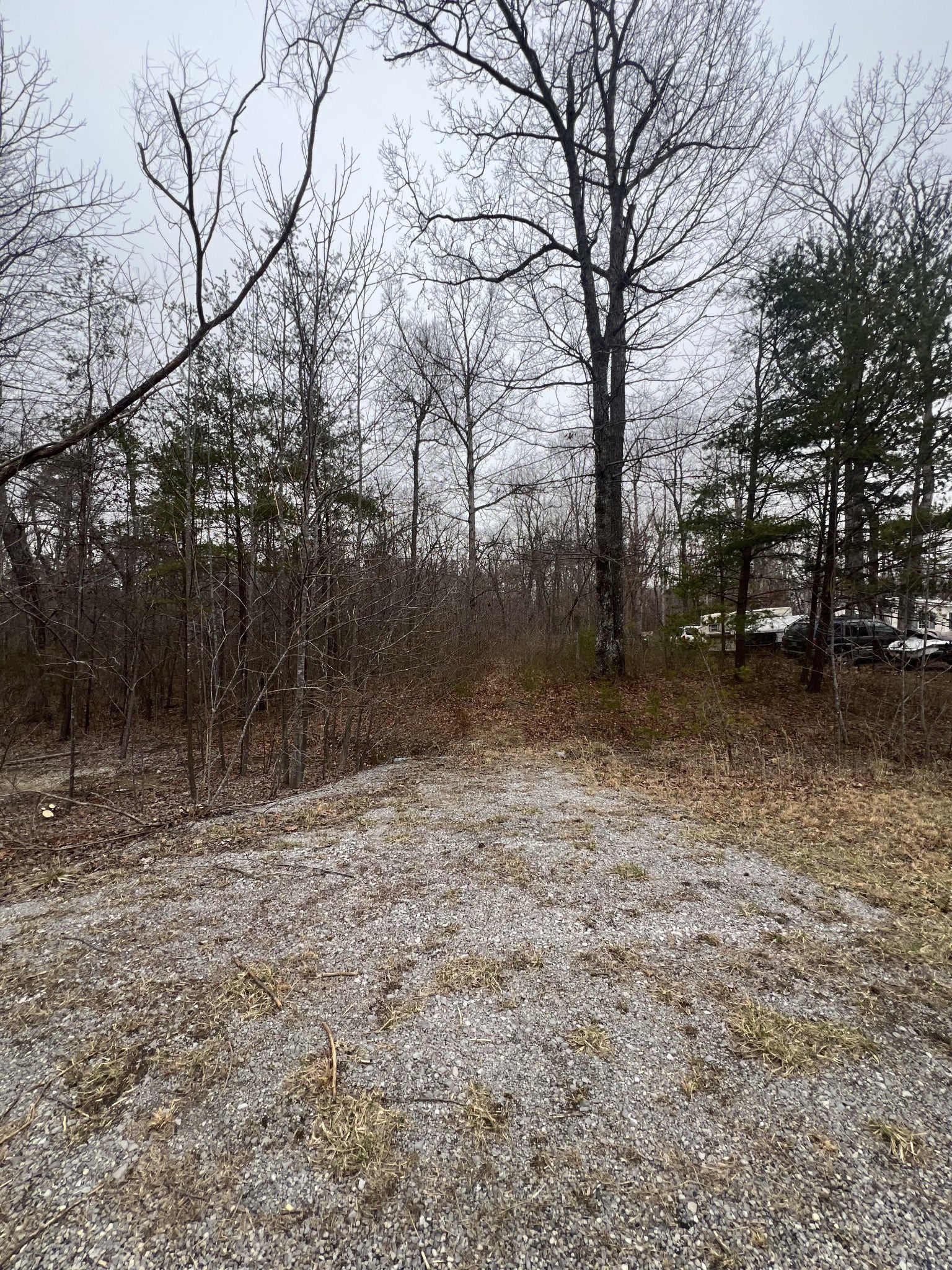 Photo of Listing #2800739