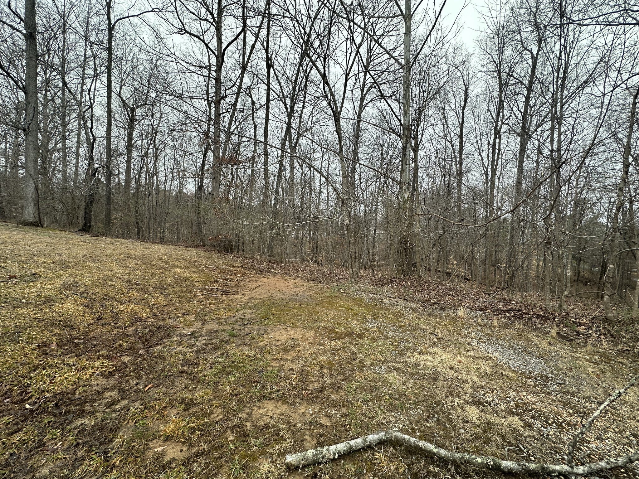 Photo of Listing #2800752