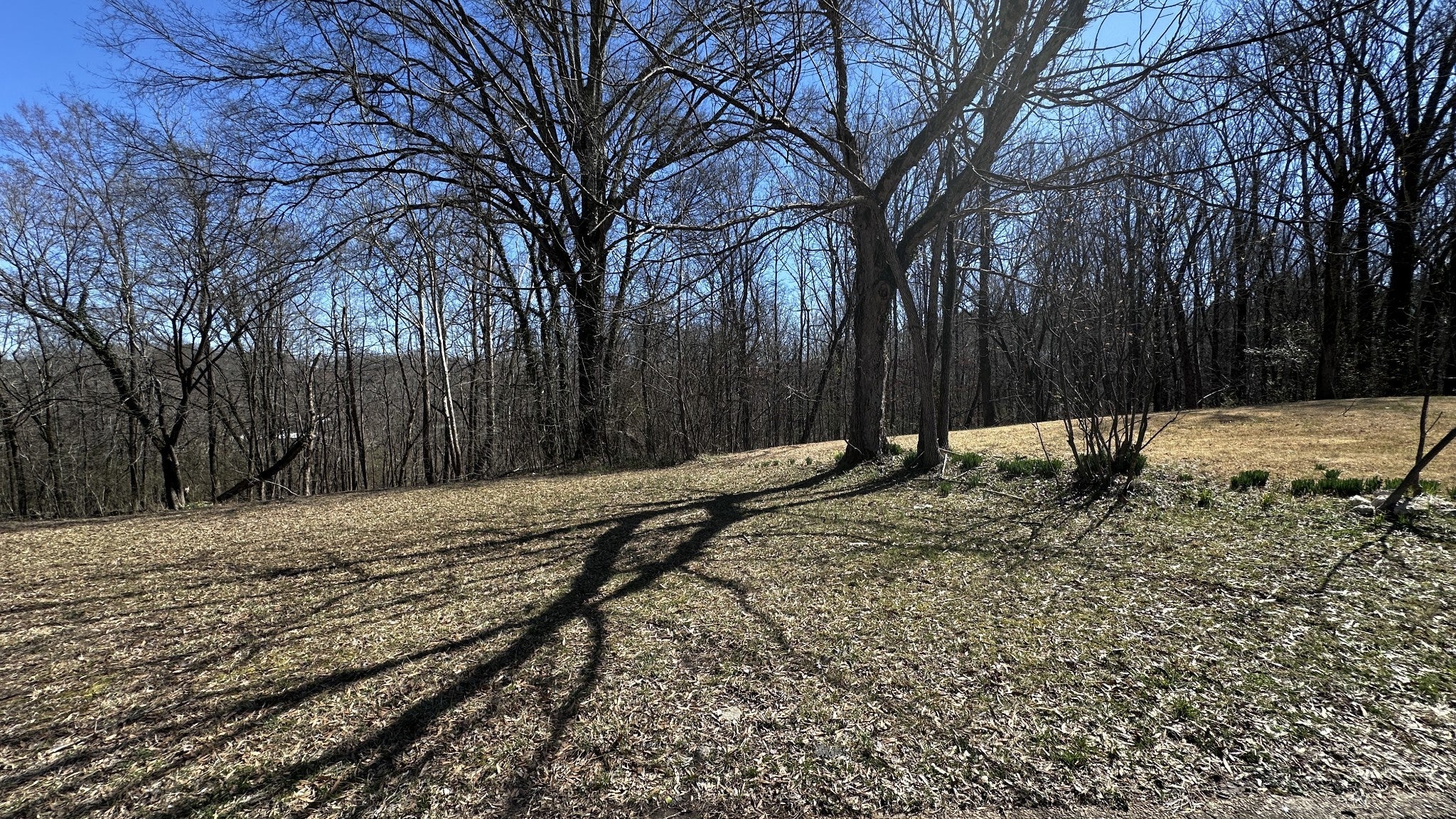 Photo of Listing #2801473