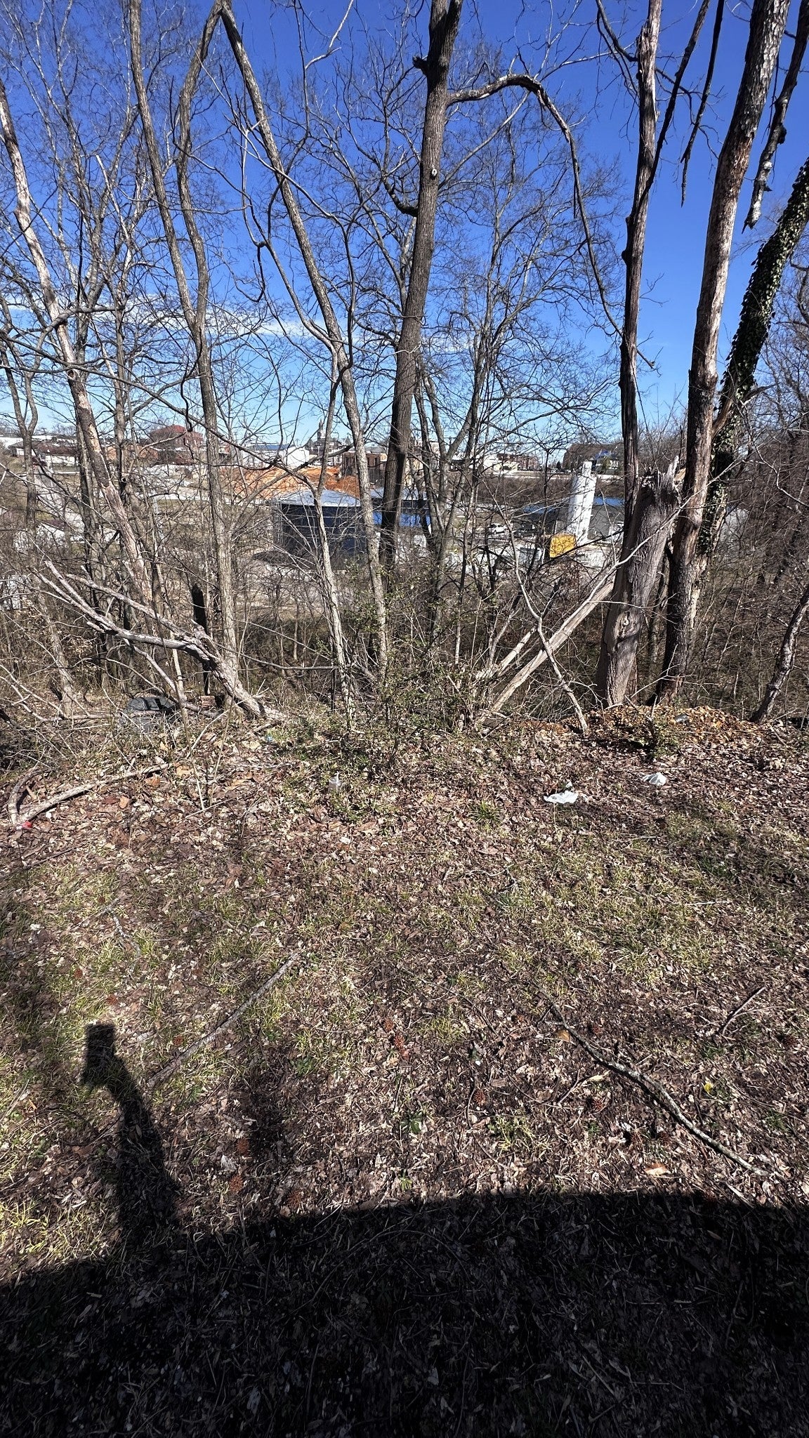 Photo of Listing #2801475