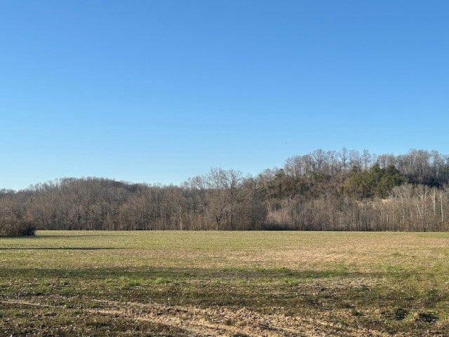 Photo of Listing #2802034