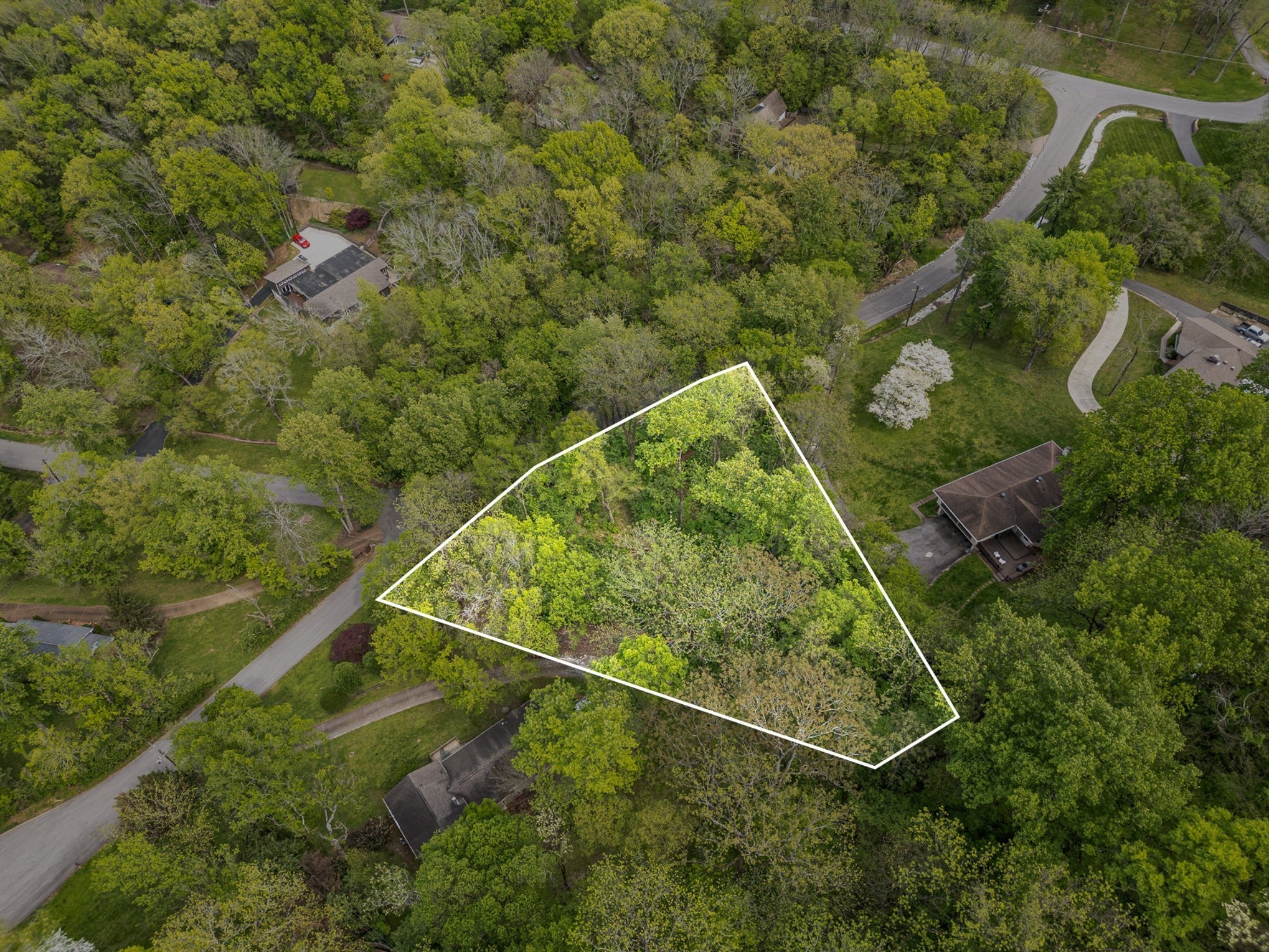 Photo of Listing #2802233