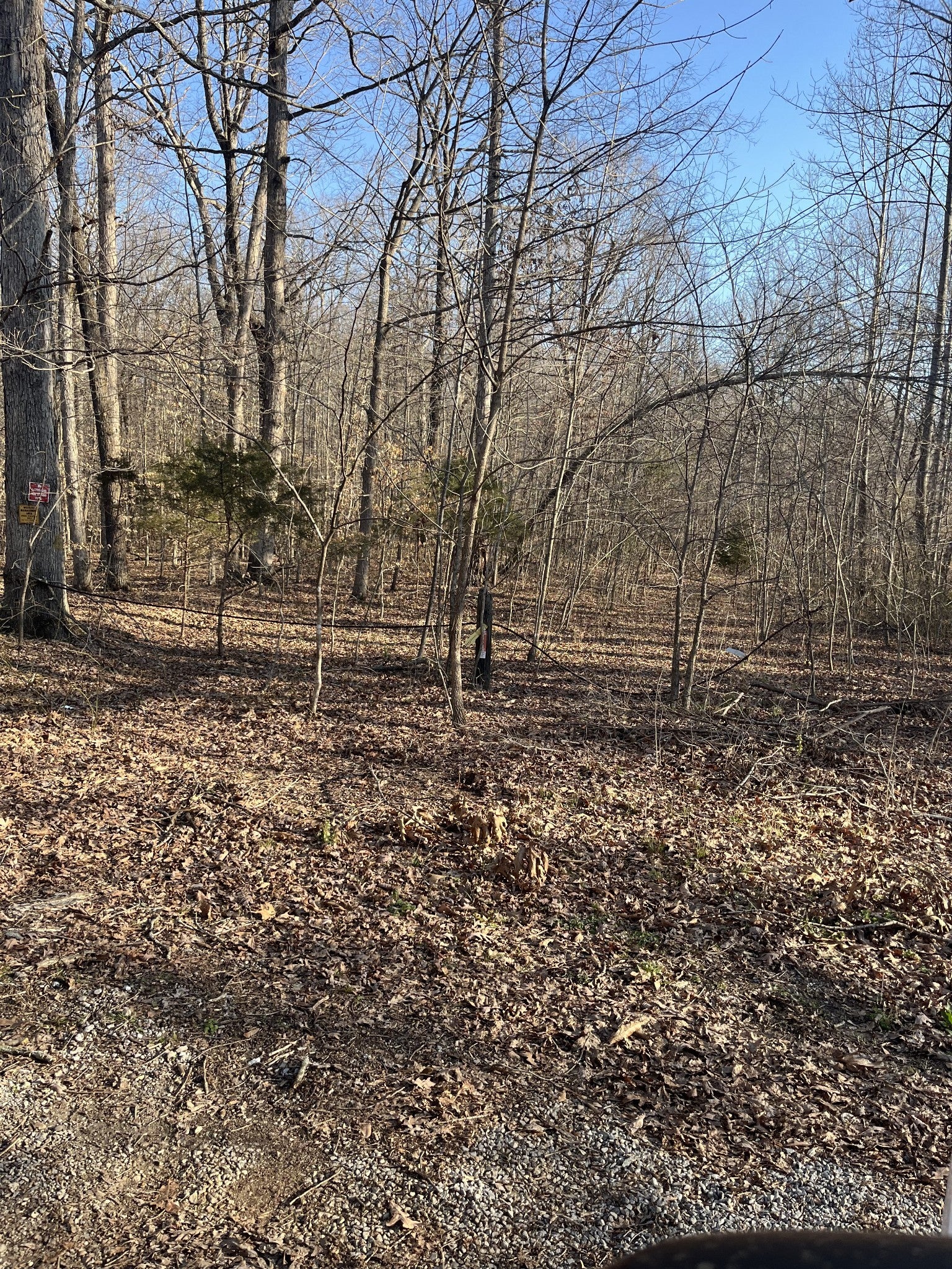 Photo of Listing #2802601