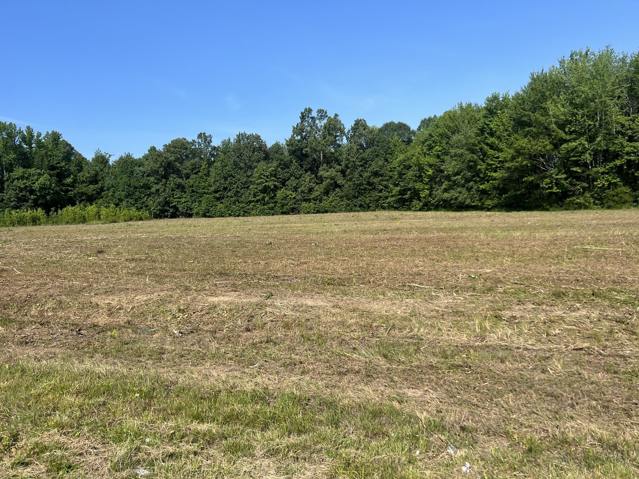 Photo of Listing #2802966