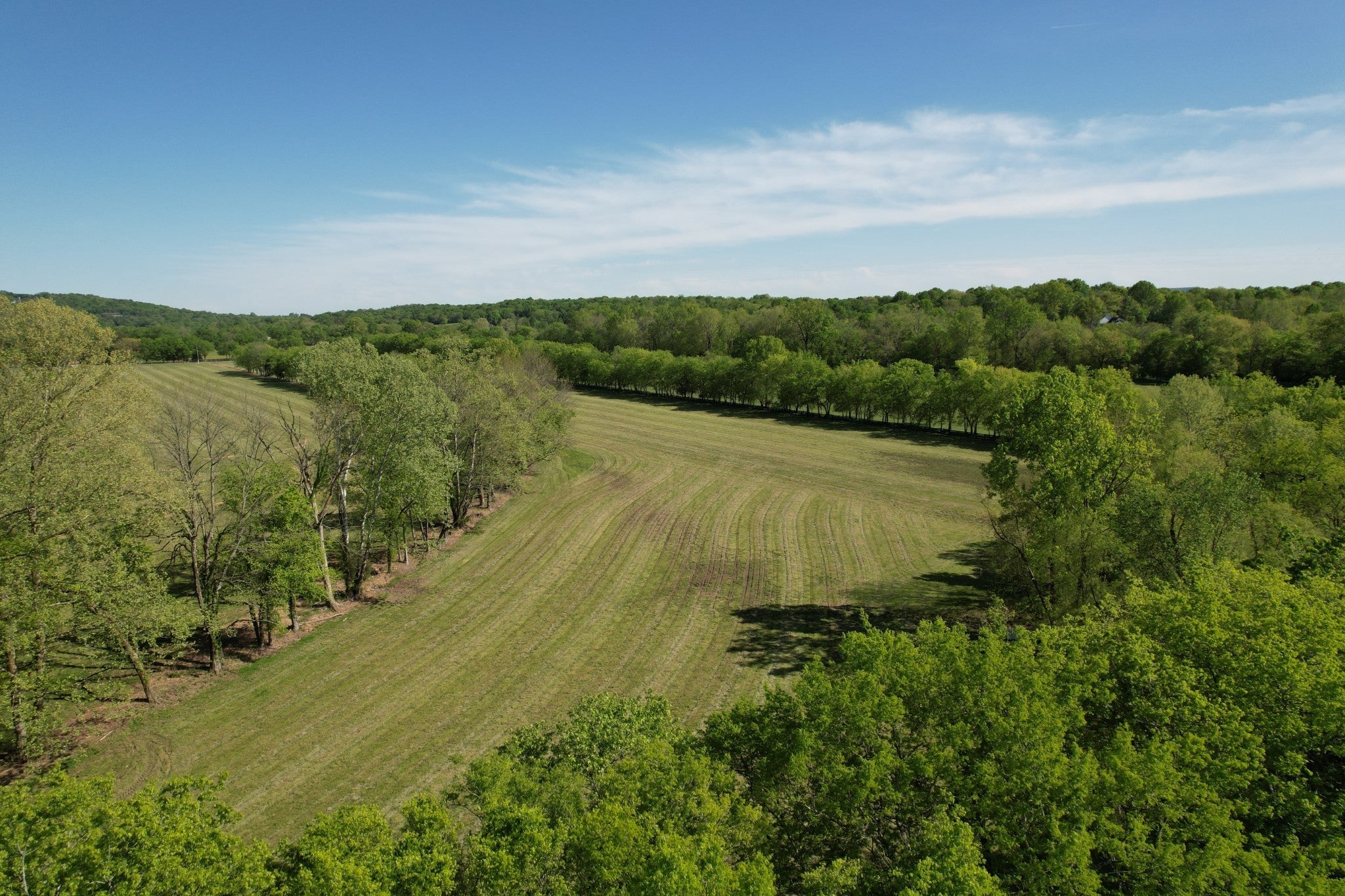 Photo of Listing #2803008
