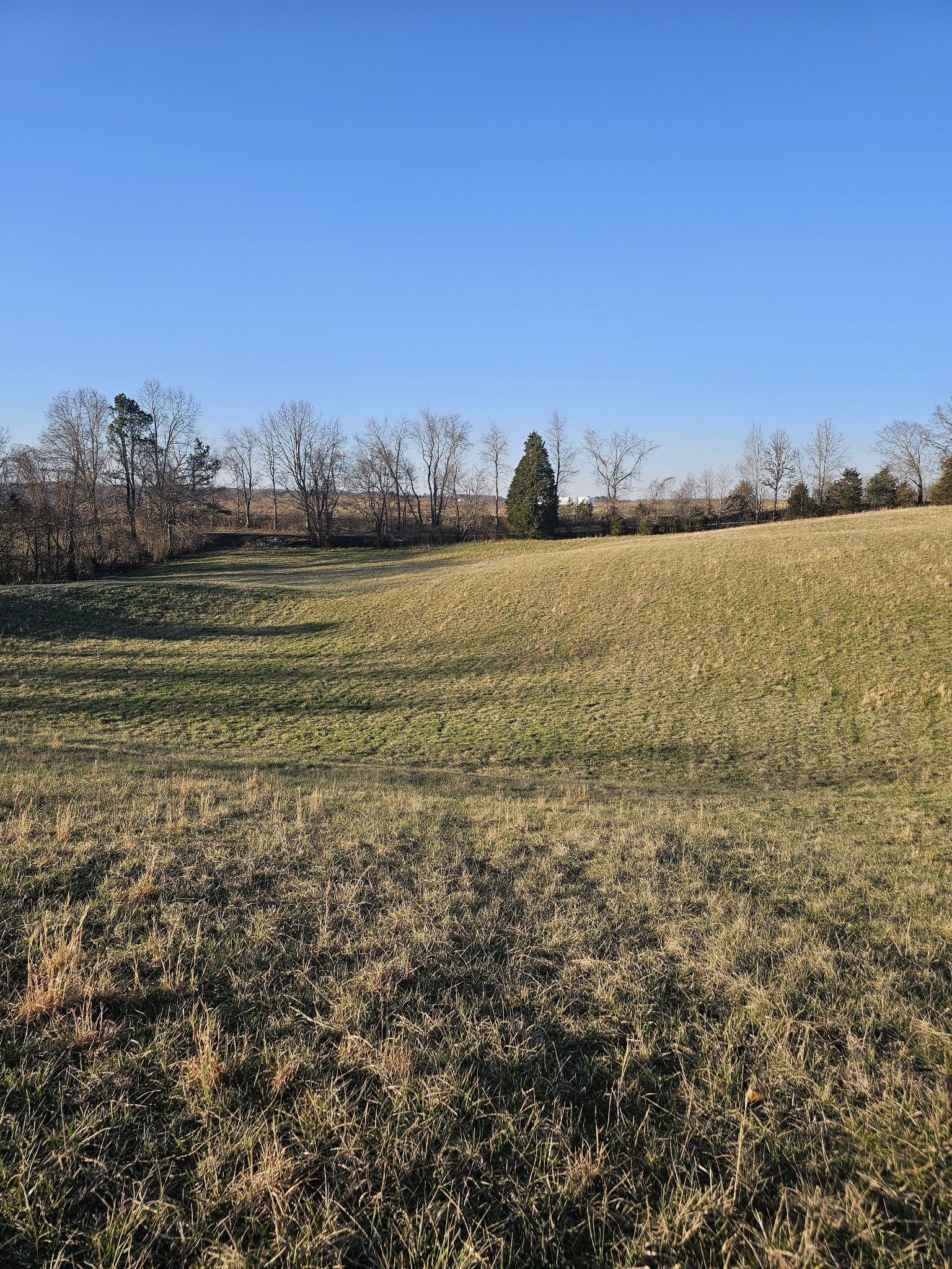 Photo of Listing #2803362