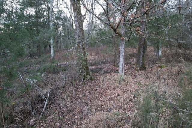 Photo of Listing #2803424