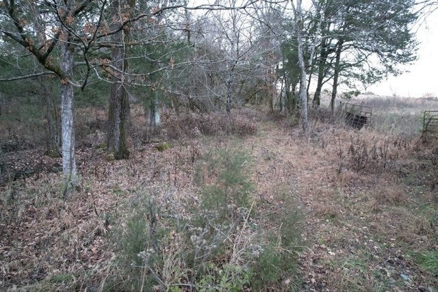 Photo of Listing #2803426