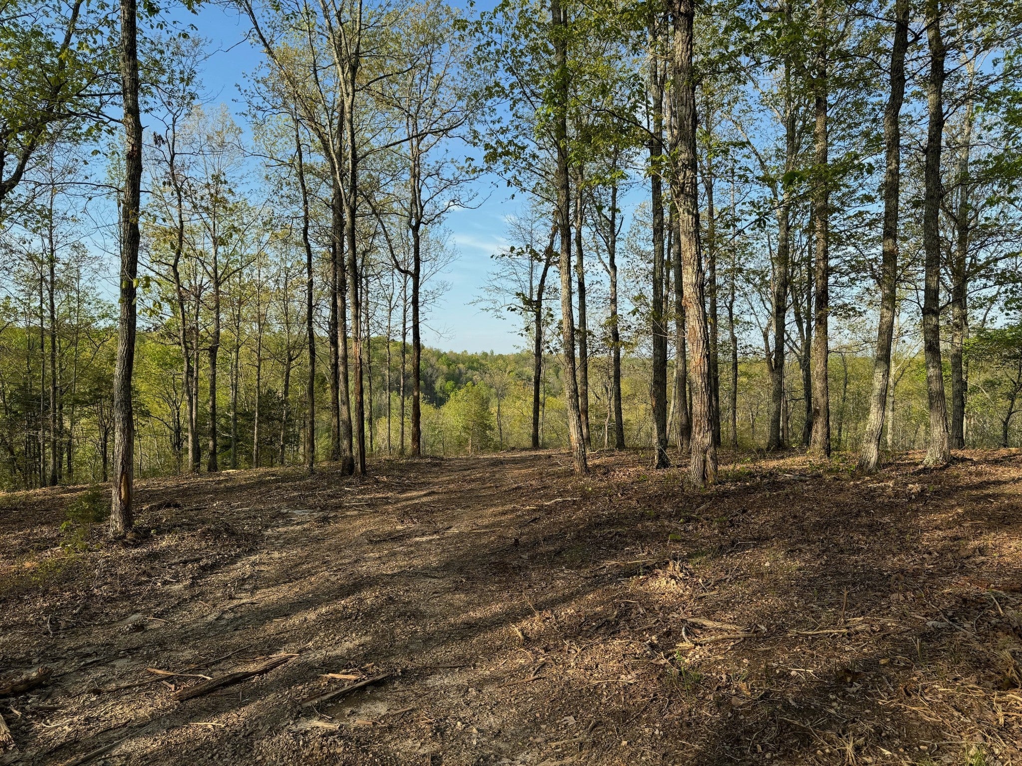 Photo of Listing #2803520