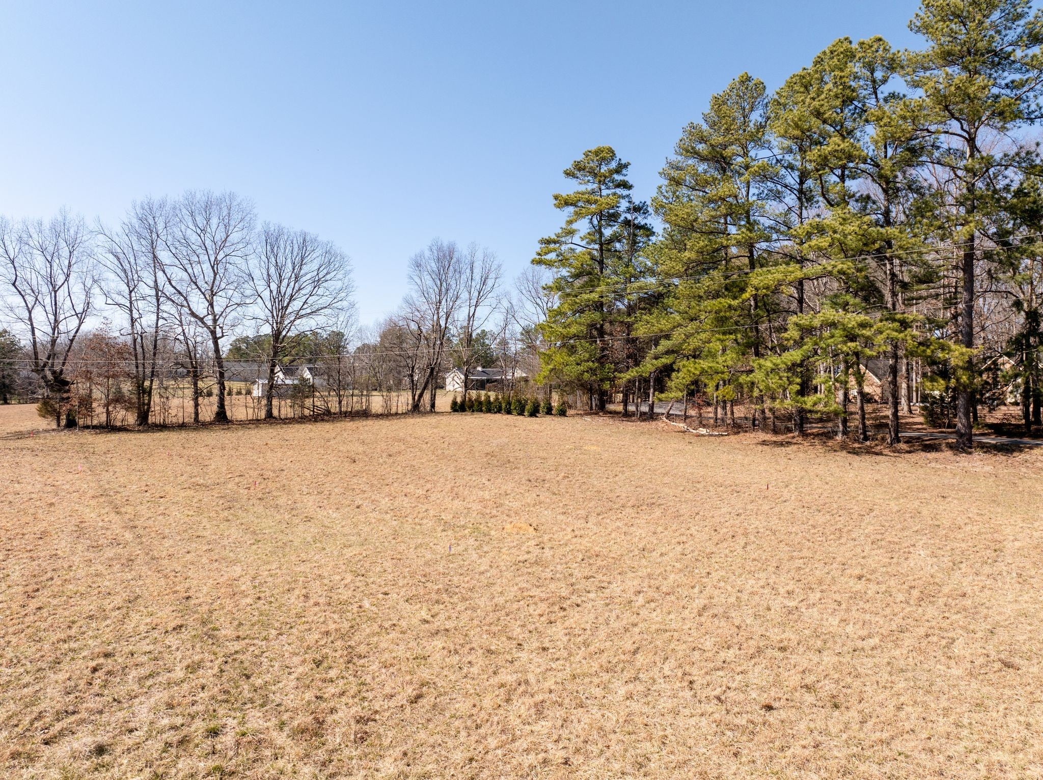 Photo of Listing #2803651