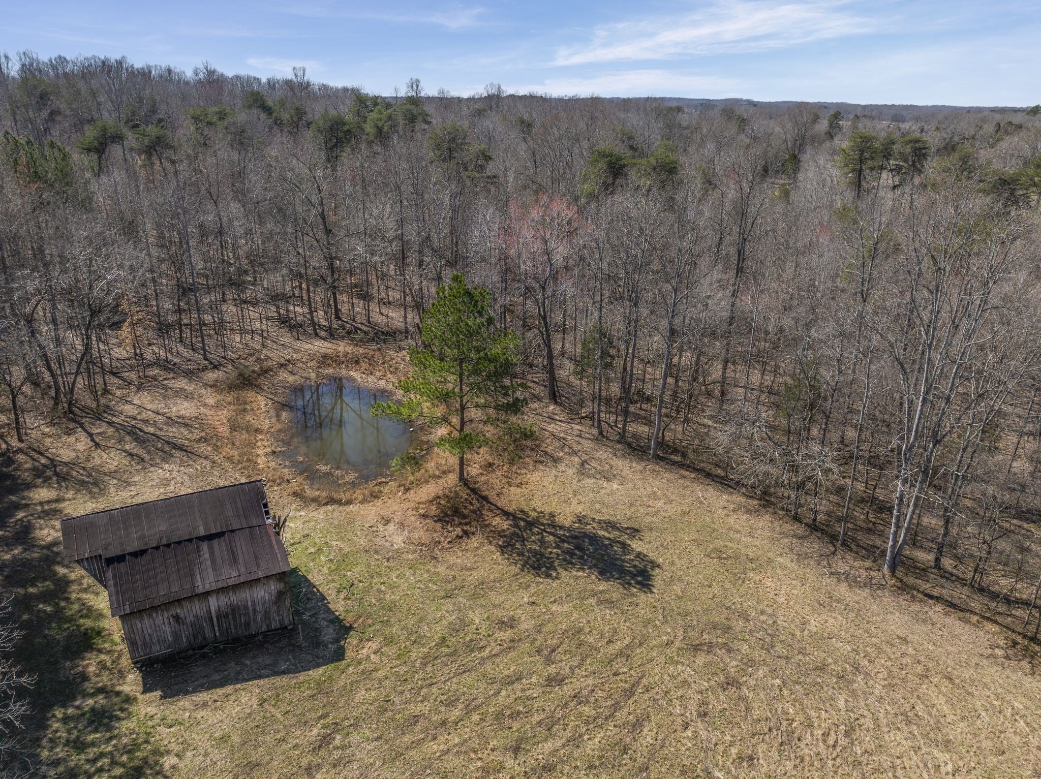 Photo of Listing #2803849