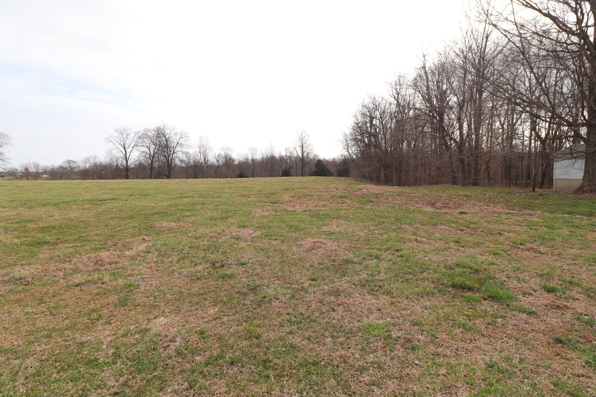 Photo of Listing #2804032