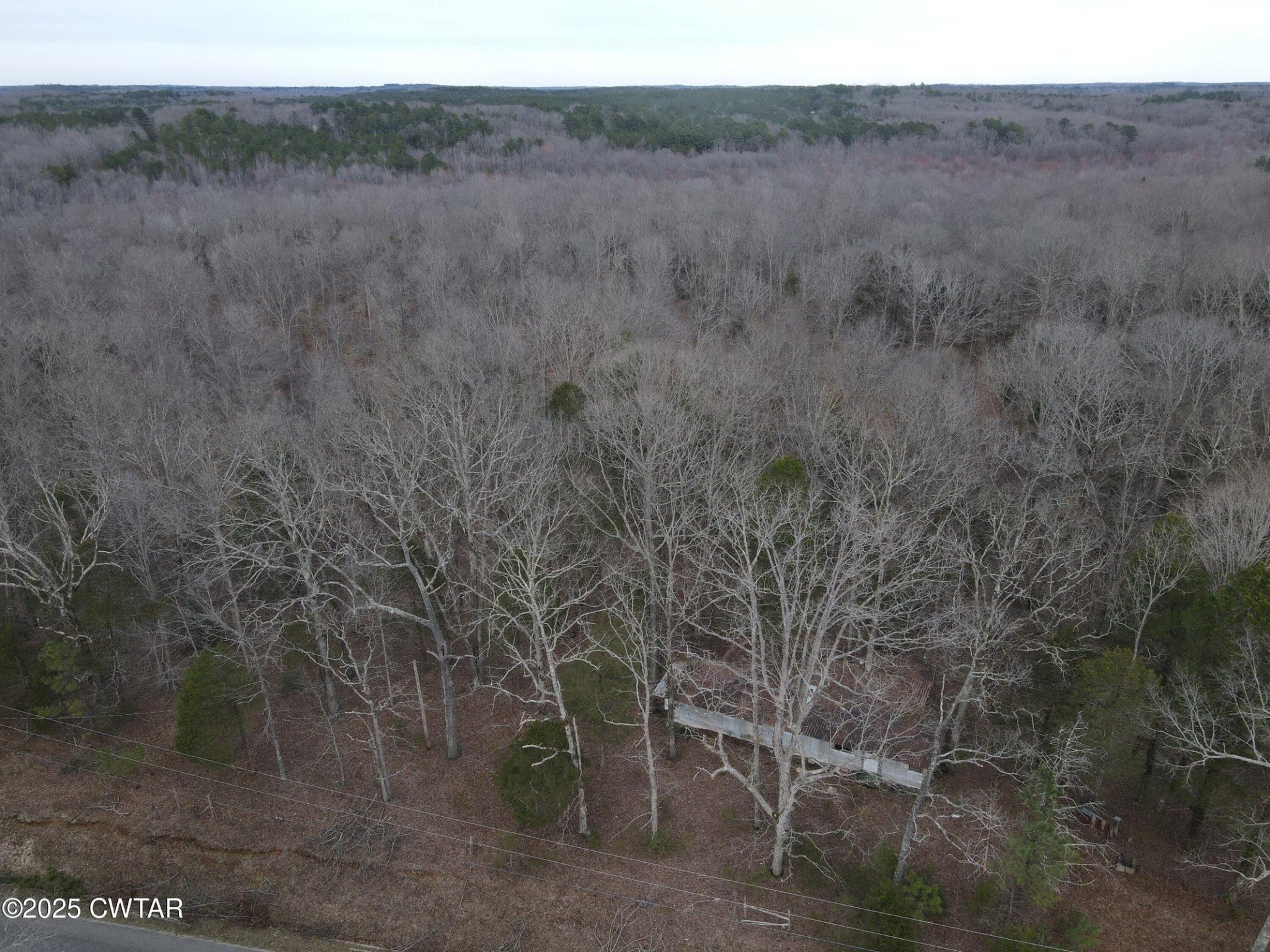 Photo of Listing #2804561