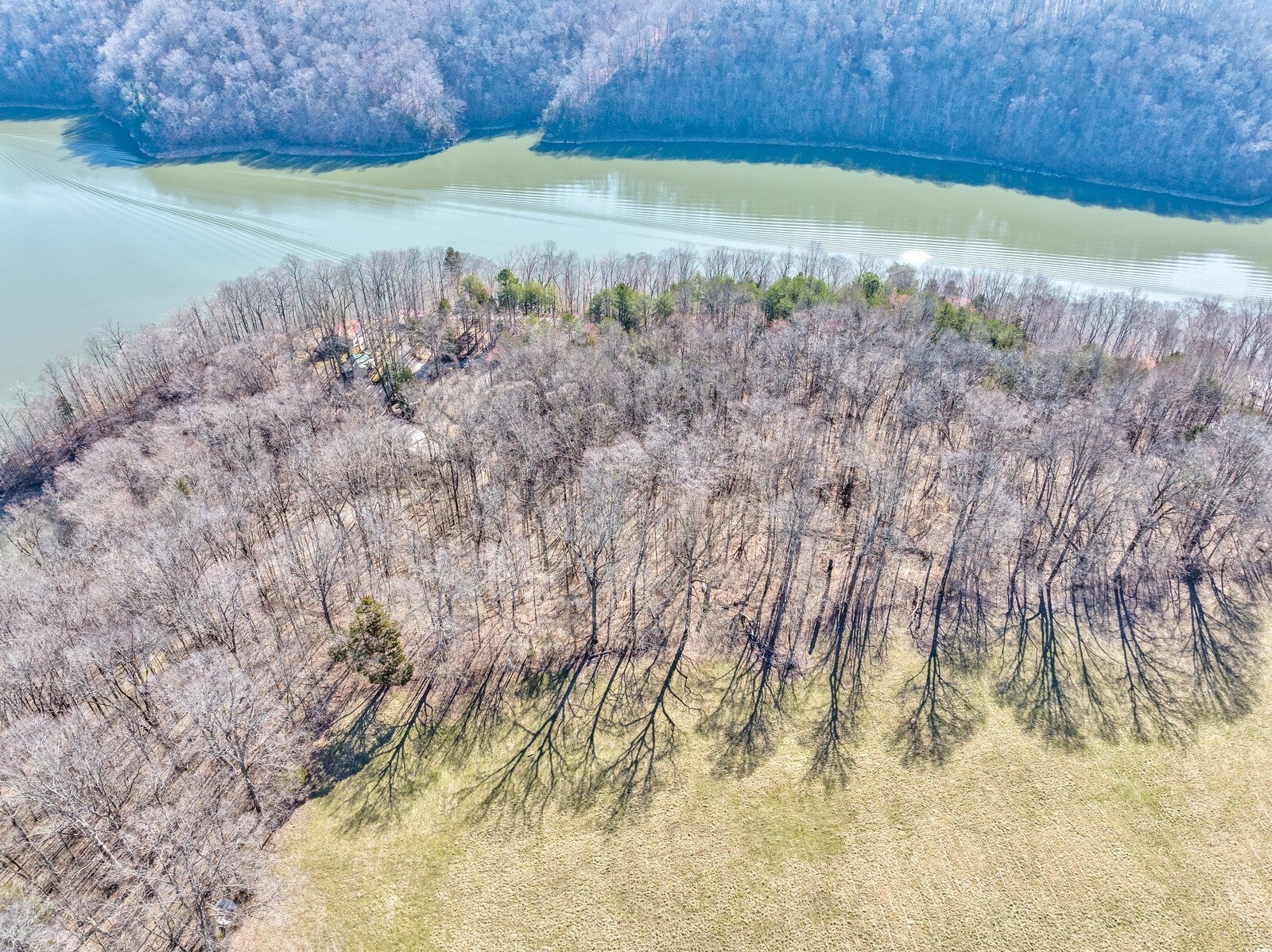 Photo of Listing #2804629