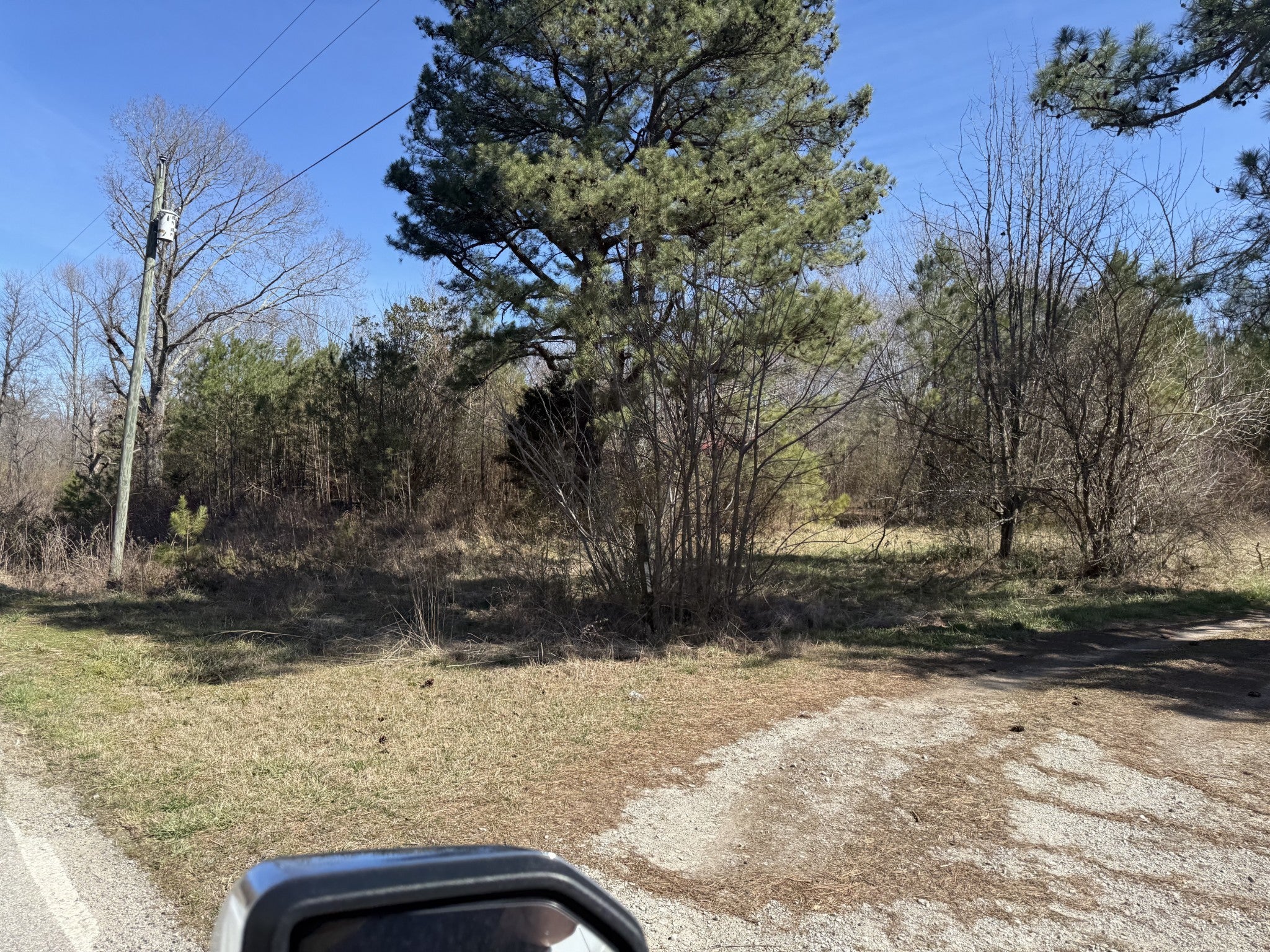 Photo of Listing #2804869