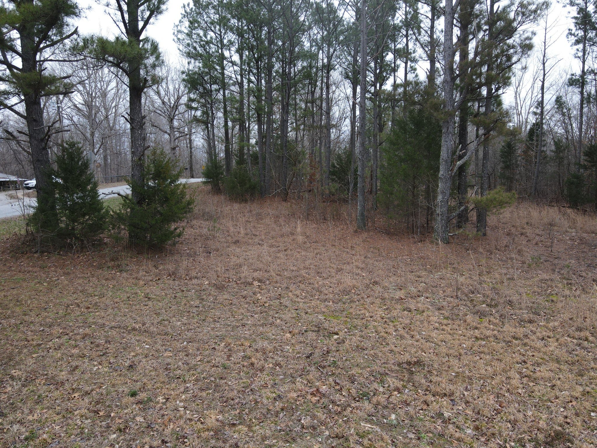 Photo of Listing #2804981